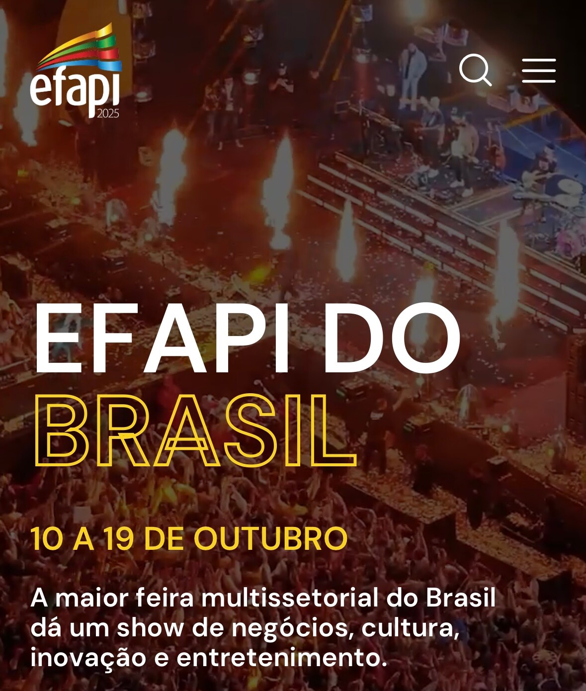 22ª edição Efapi Brasil