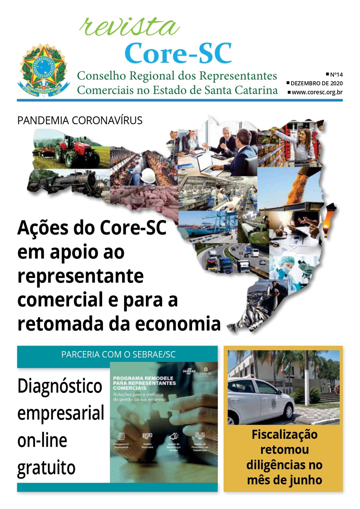 REVISTA CORE-SC Nº 14 - 2020